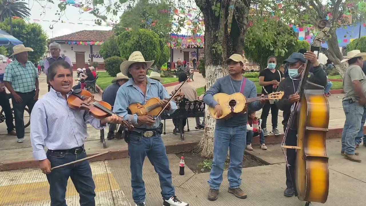 Grupo de cuerdas de Chalcatongo de Hidalgo, Sincero Musical. No tengo los derechos de autor.
