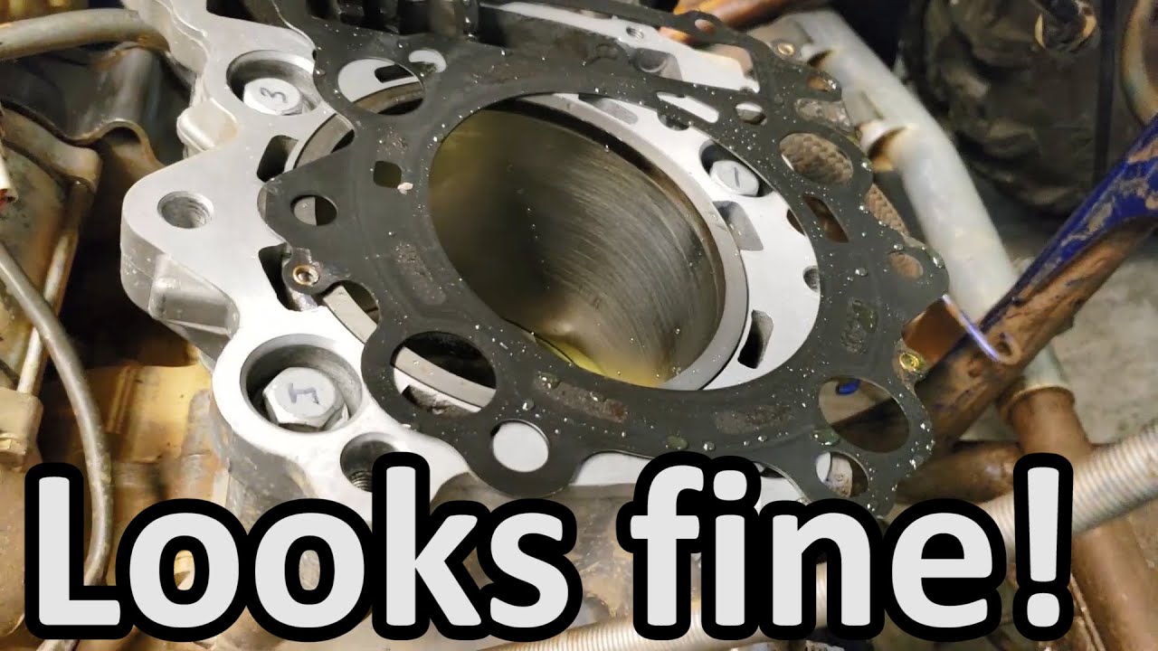 Head was warped! // Raptor 660 Tear Down