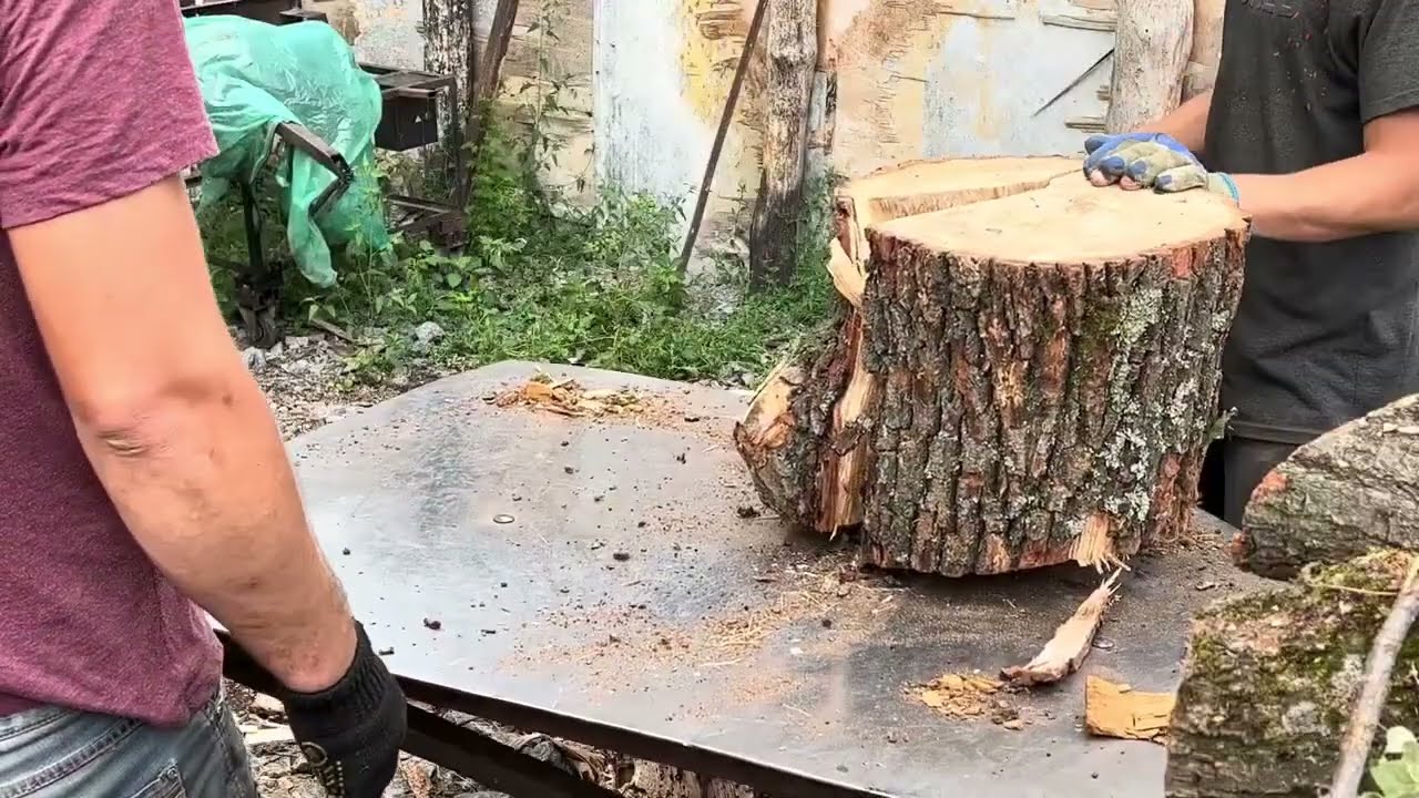 Turning Hardwood Giants into Firewood