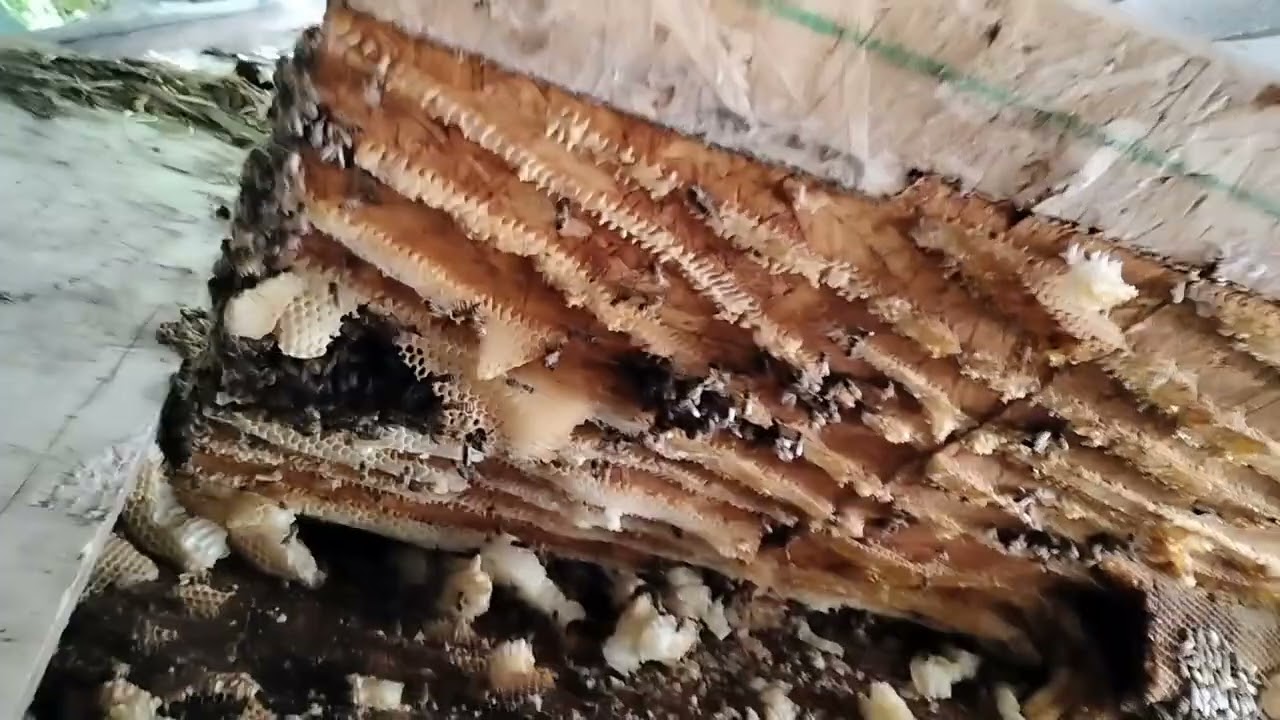Collapsed  Farm House Cutout Part 1