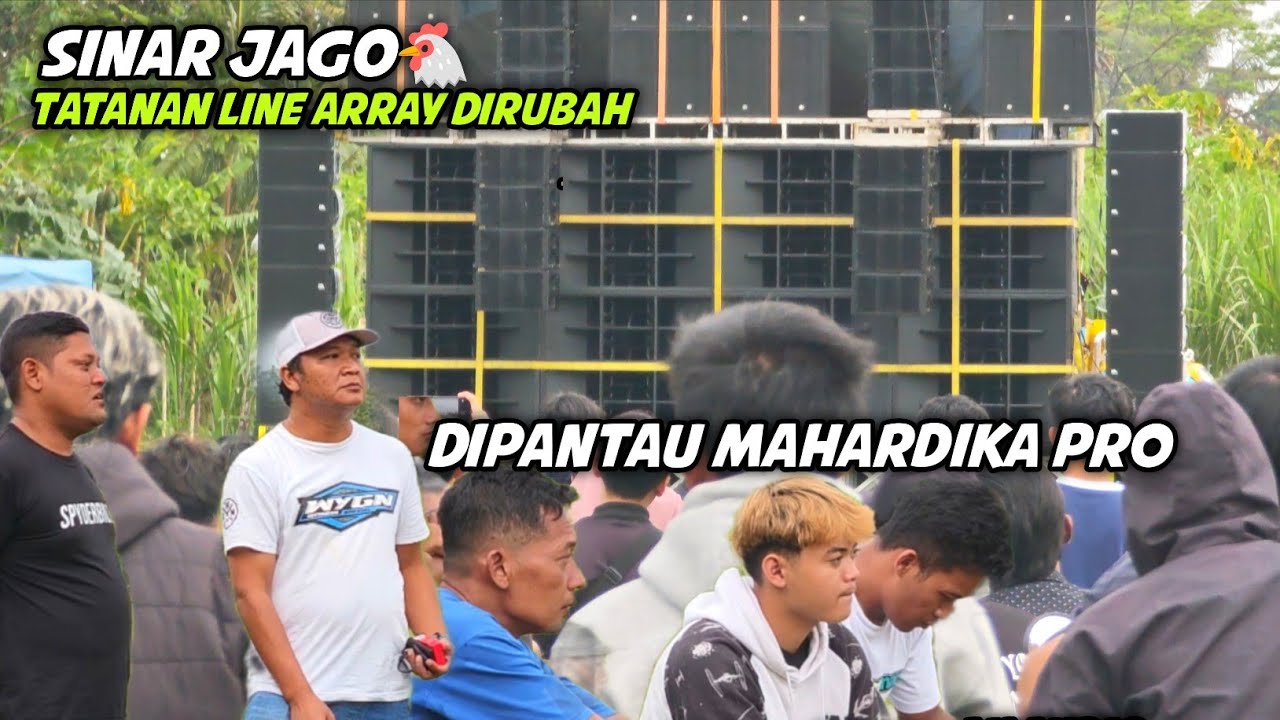 Terpantau Mahardika Pro & Cak One ..Sinar Jago Semakin Sangar setelah Ganti Tatanan 