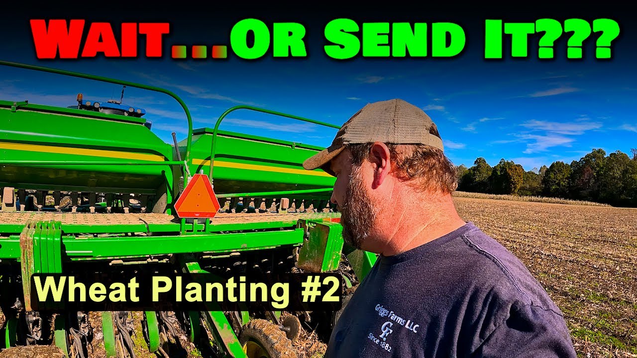 Should I Wait...Or Send It...  Wheat Planting #2