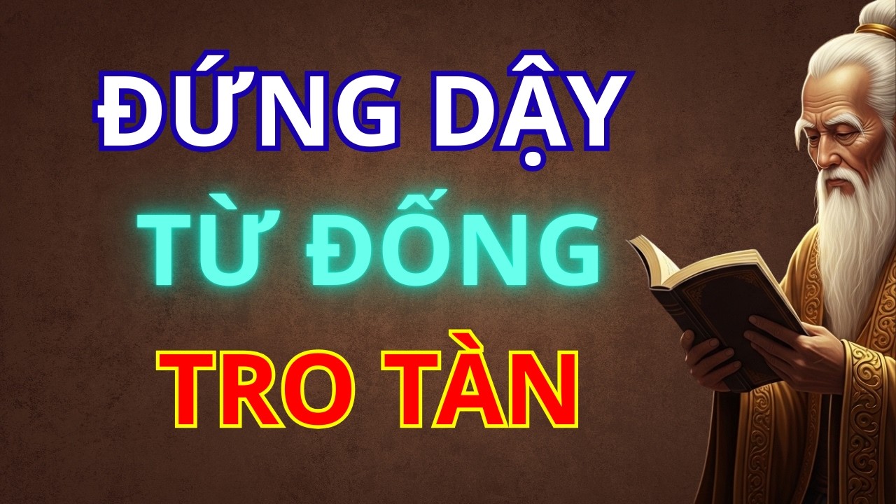 Triết Lý Mạnh Tử: Cách Làm Lại Cuộc Đời Từ Đống Tro Tàn
