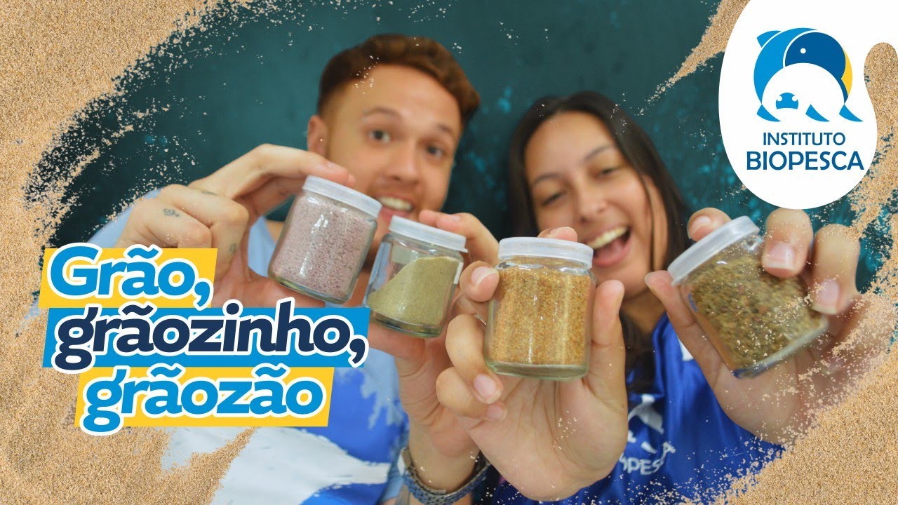 De onde vem a areia da praia?