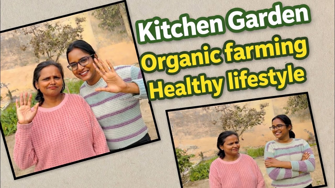 No Money, just Seeds|| My KITCHEN GARDEN ||🌿🪴 #KitchenGarden  #GardeningIndia  #DesiVlog #organic 