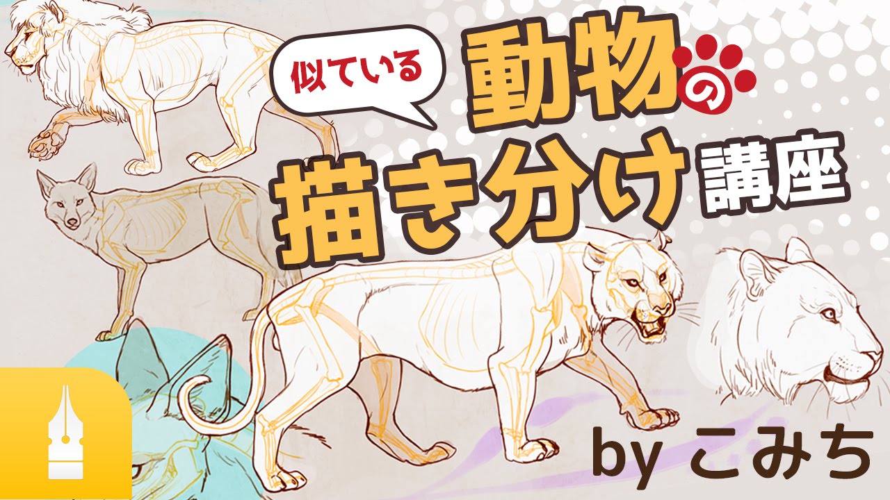 楽しくマスター！似ている動物の描き分け講座 by こみち｜漫画・イラストの描き方講座：お絵描きのPalmie（パルミー）