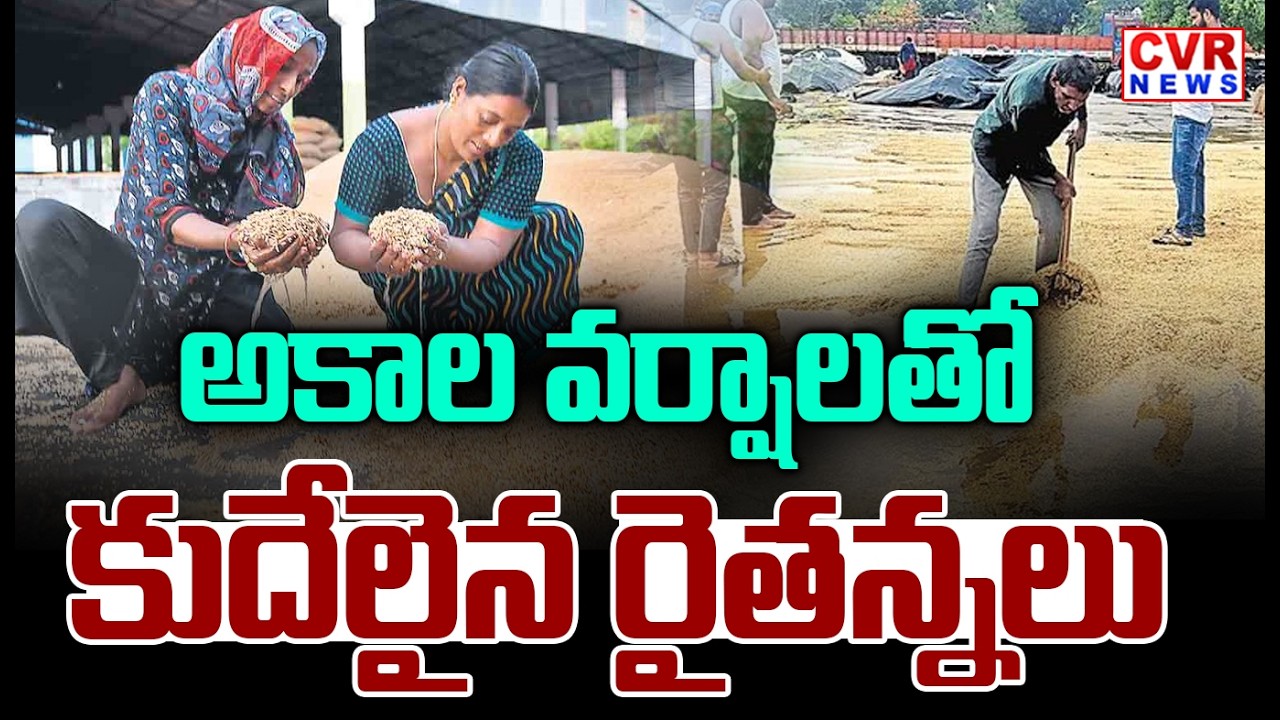 CVR Ground Report On Unseasonal Rains In Nizamabad District | CVR News