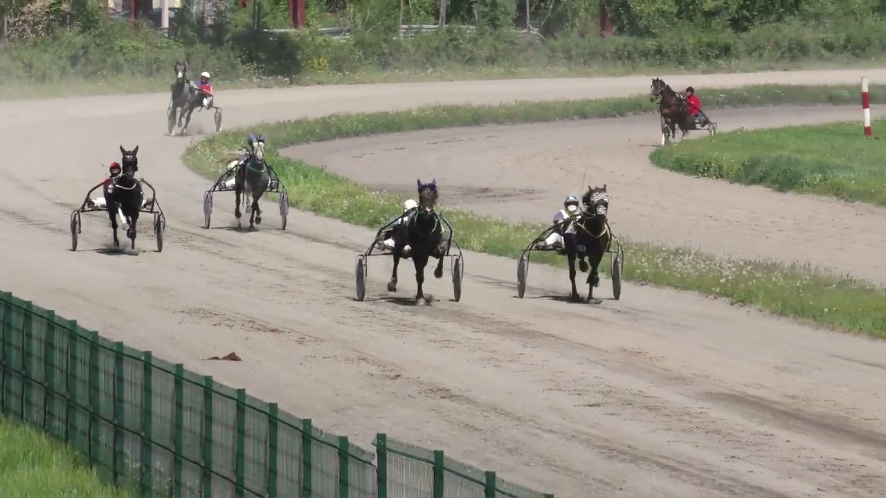 24.05.2025г.Абаканский ипподром  Приз Кипра лошади 3-х лет орловской  рысистой  породы 1600м
