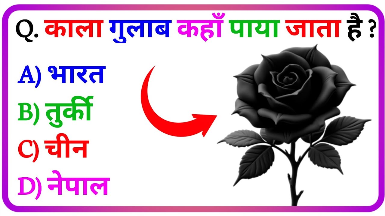 GK Question || GK In Hindi || GK Question and Answer || GK Quiz ||
