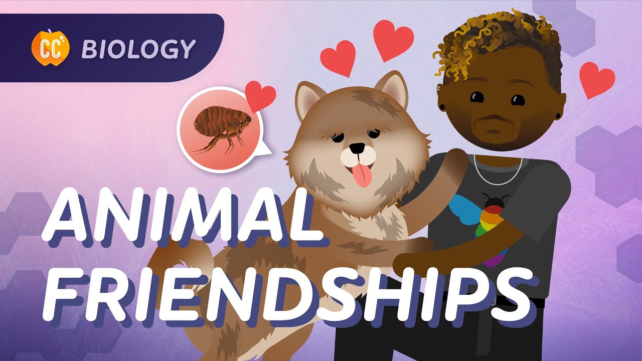 Community Ecology: Interspecies Interactions: Crash Course Biology #6