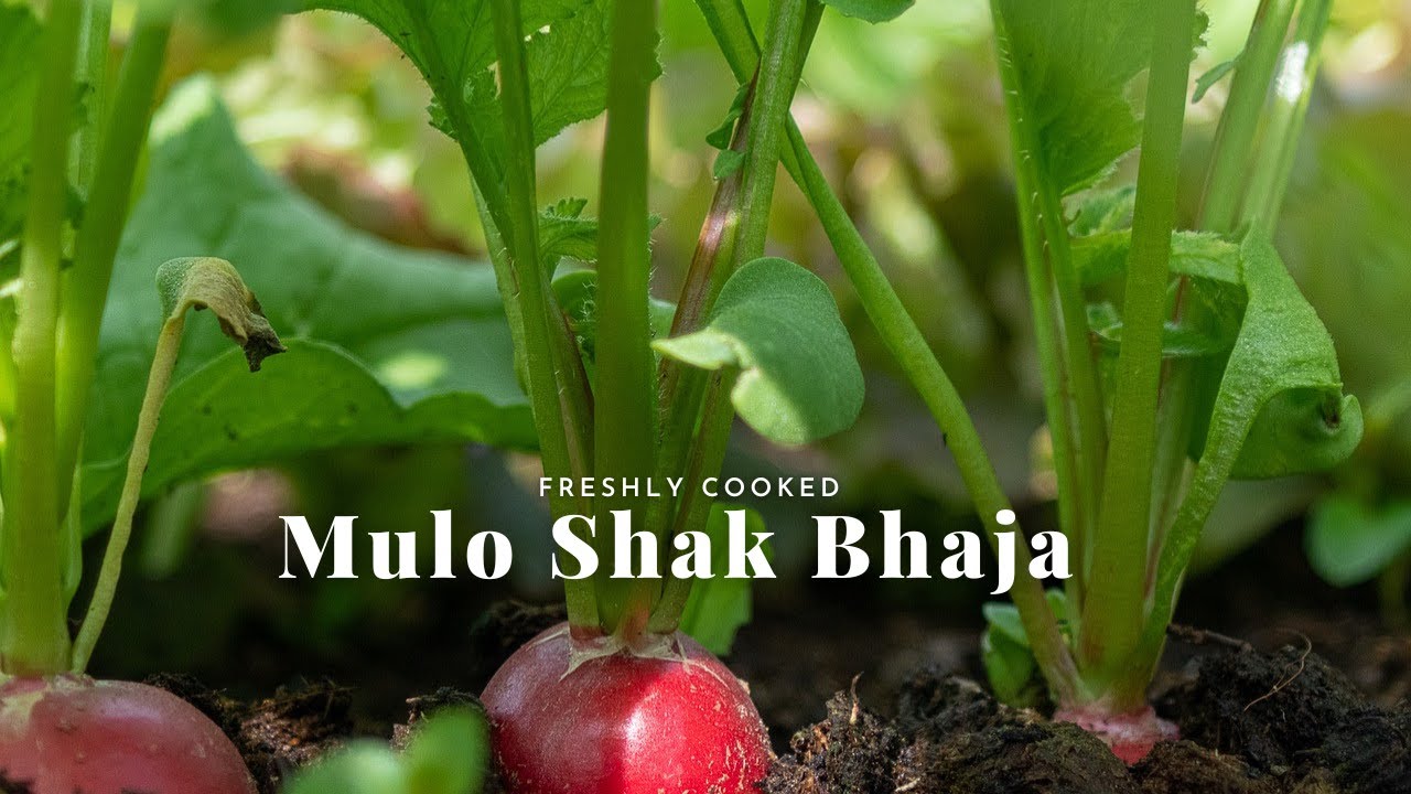 Mulo Shak Bhaja | Mulo Shak Bhaja Niramish Recipe In Bengali | Radish Leaf Fry With Coconut |