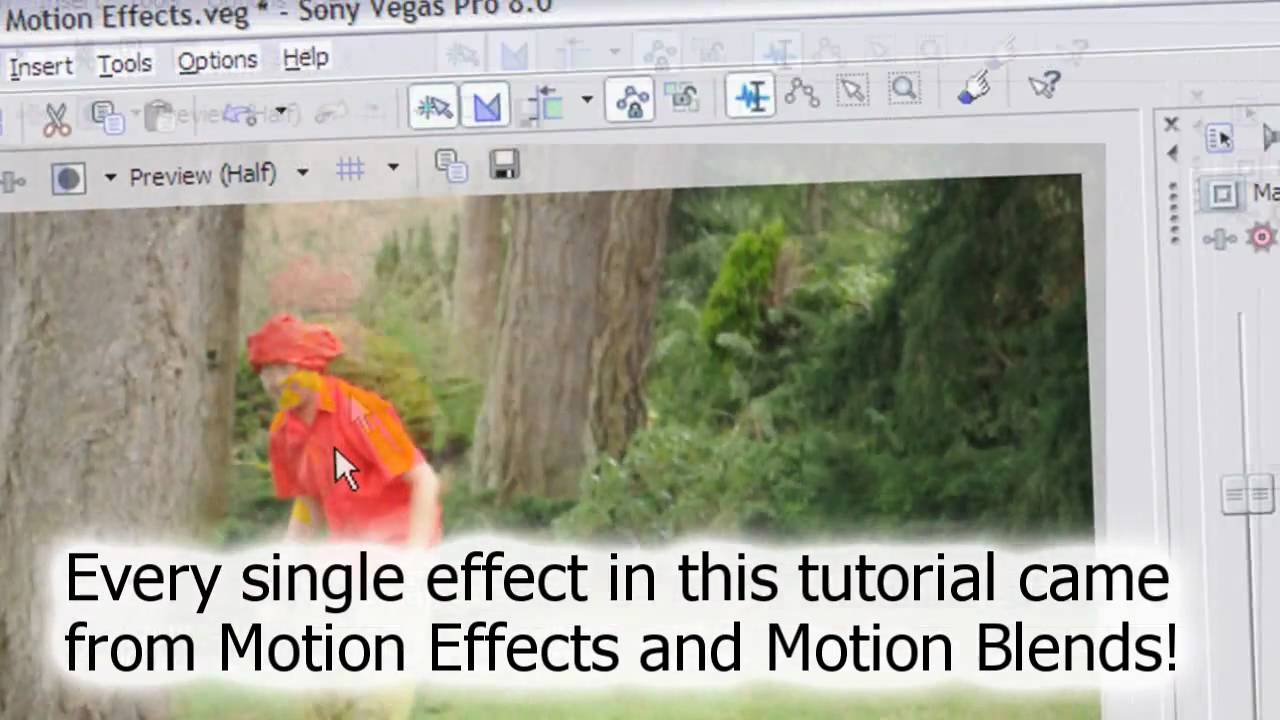Sony Vegas Tutorial: Shaky cam effect with NewBlueFX Motion