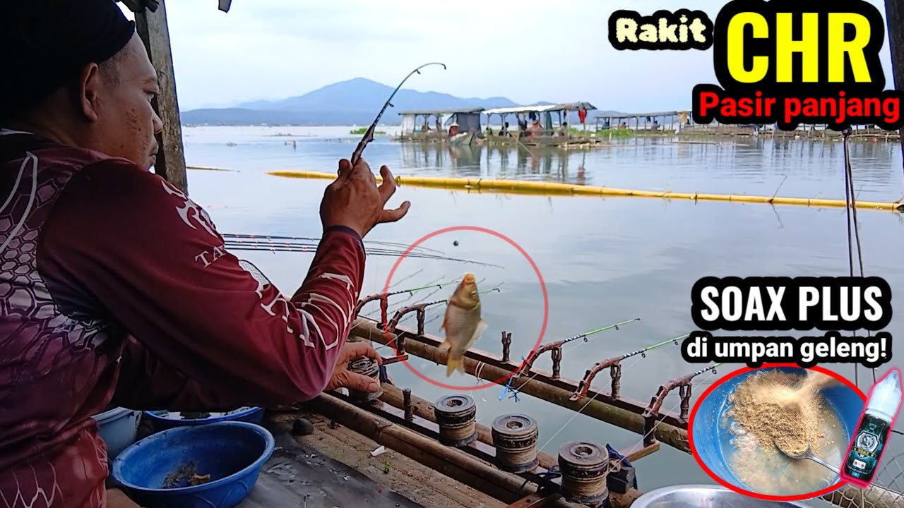 SIMAK cara buat umpan ini! Sederhana tapi hasilnya josss!! || MANCING CIRATA RAKIT CHR