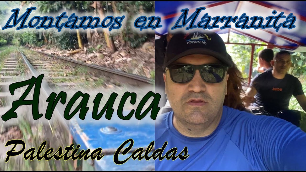 ARAUCA corregimiento de Palestina en Caldas Montañas de Colores