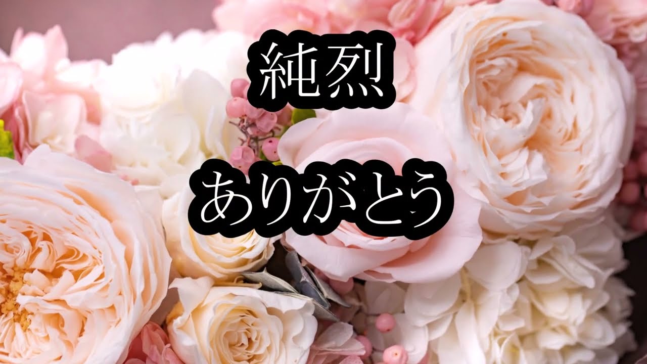 純烈　ありがとう　カラオケ