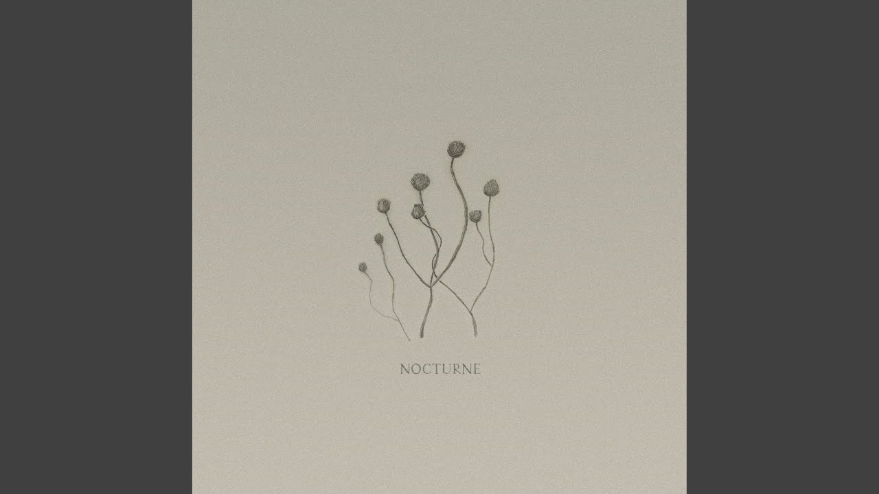 Nocturne