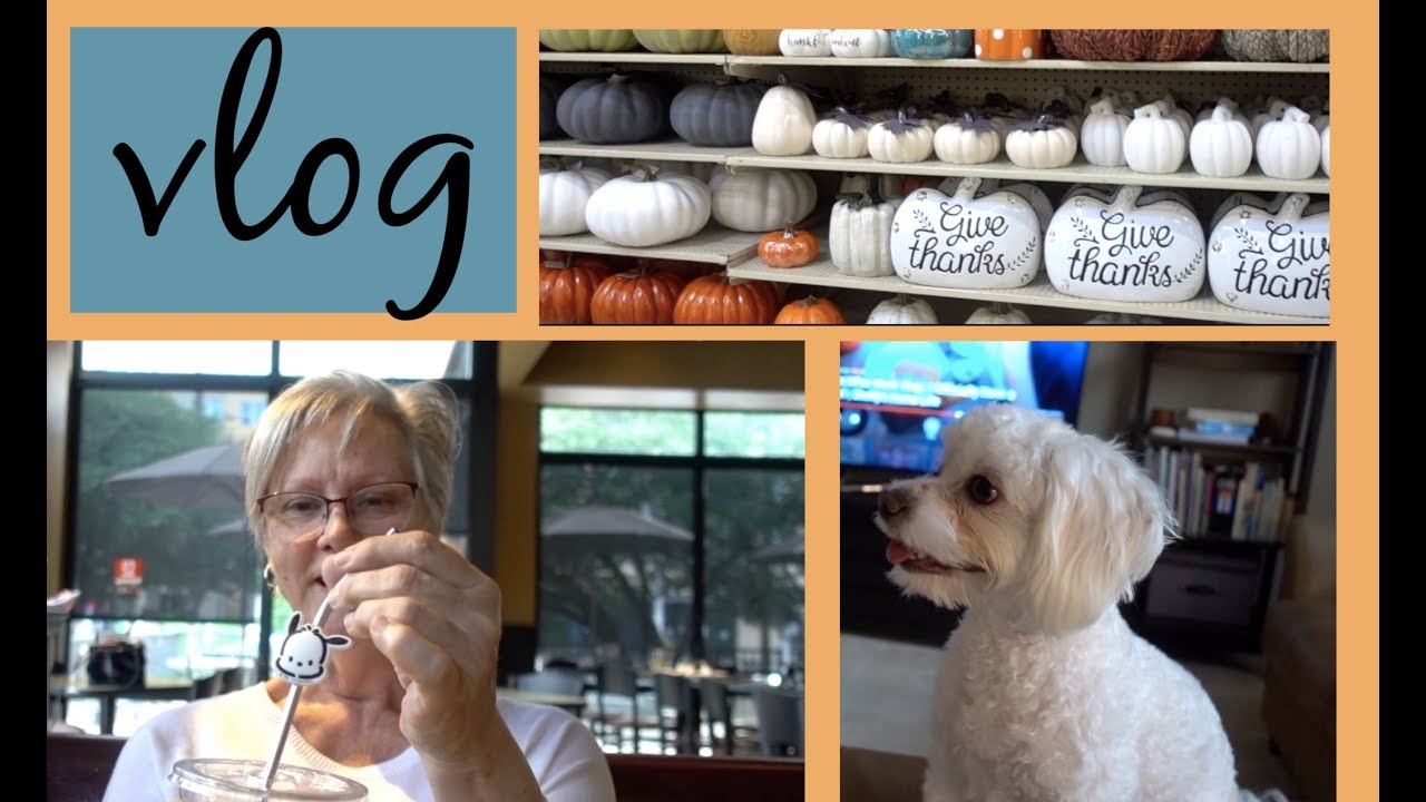 VLOG: ZUCCHINI OATS & HOBBY LOBBY FALL DECOR| DR DRAY