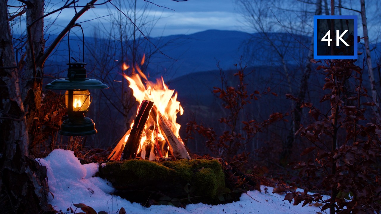 Forest Campfire at 1000m — a Quiet Night in the Mountains | Relaxing Ambience (4K)