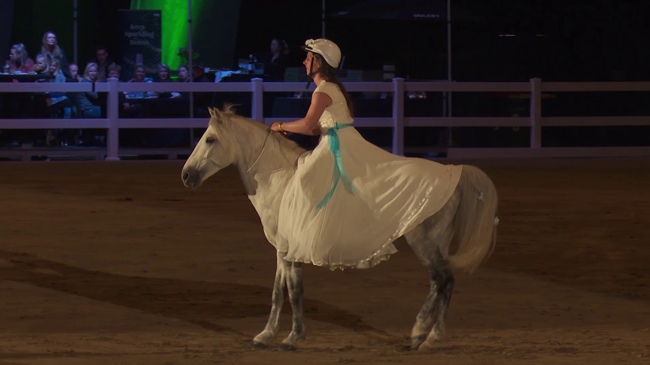 Equidays Top Talent Performance: Hayley-Grace riding her stallion Wake Field Heartbreaker
