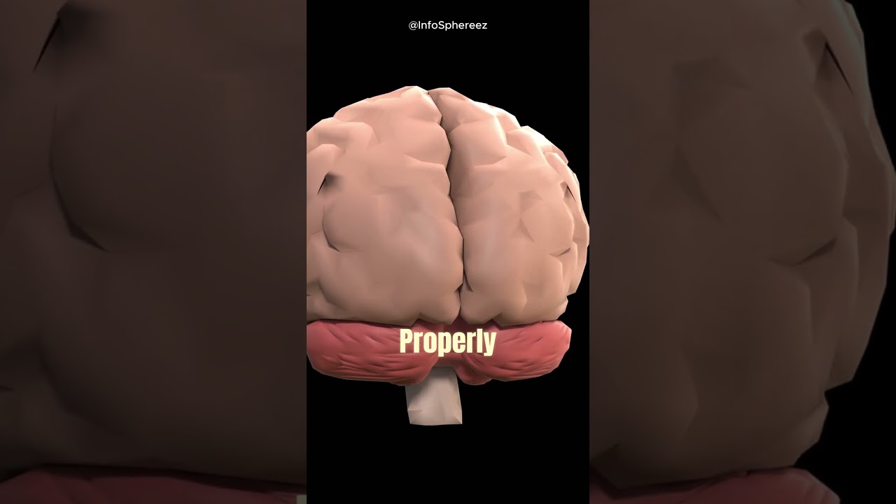 Why You Forget Dreams So Quickly 😴🧠 Explained Fast