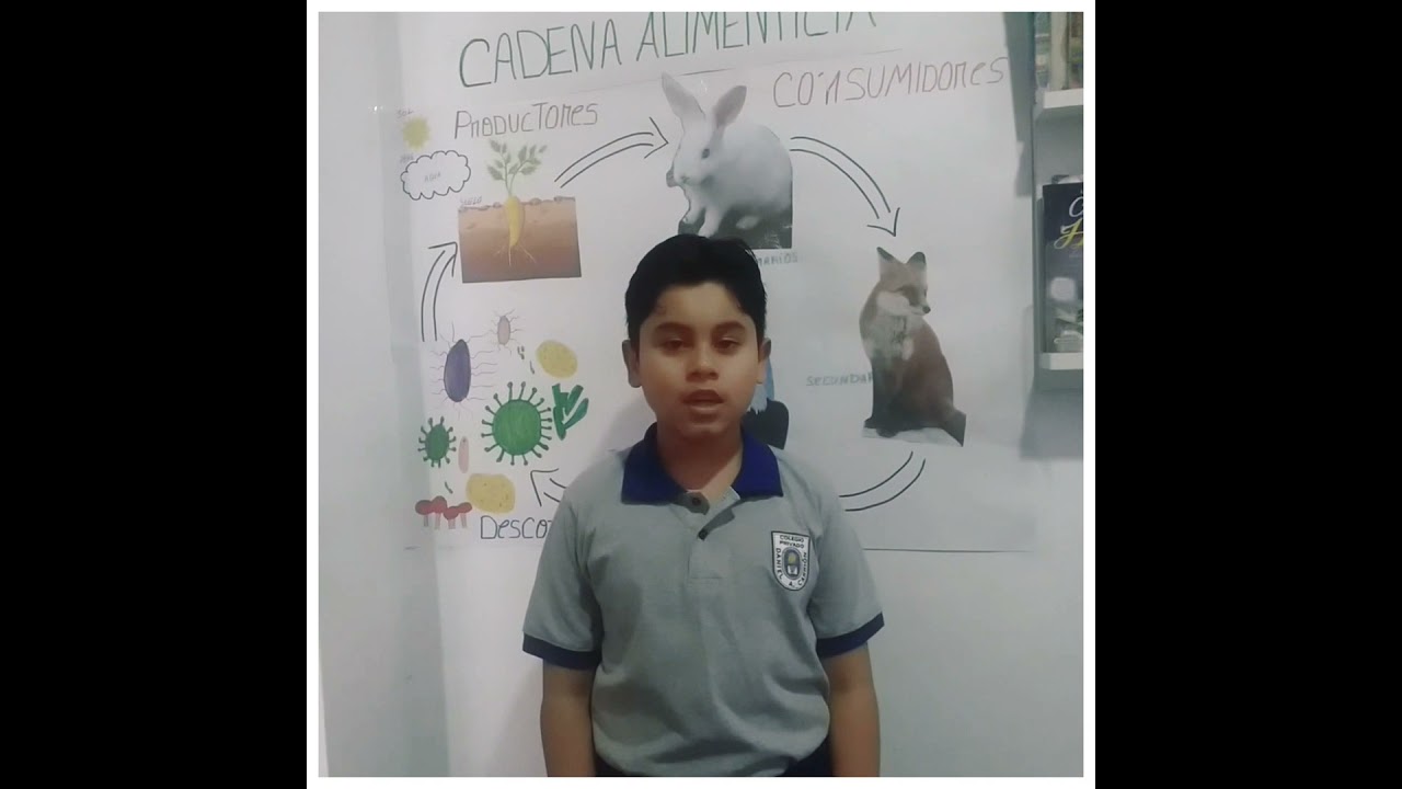 Exposición la cadena alimenticia