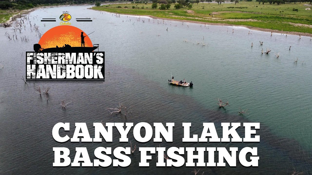 An In-Depth Look at Bass Fishing on Canyon Lake in Texas