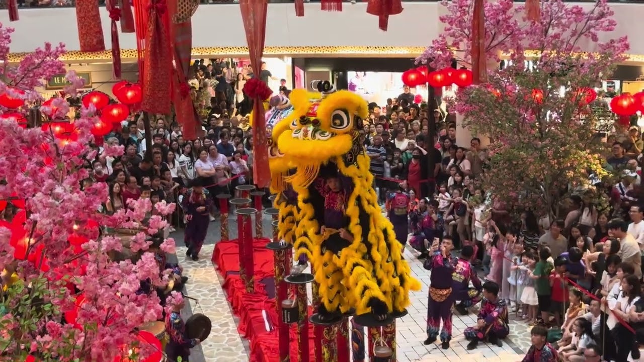 Lion dance show at Midvalley Megamall (16 mins non-stop)
