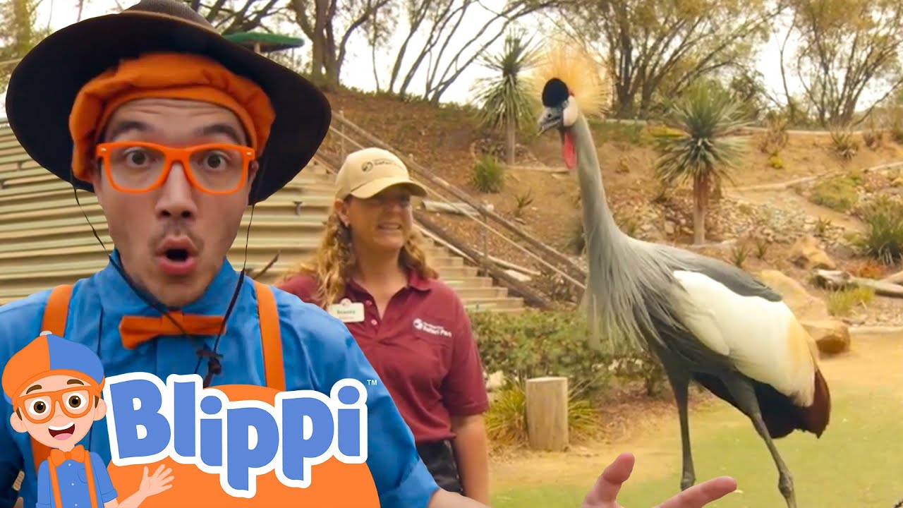 🦍 CRIKEY! Blippi at Safari 🦍 | @Blippi - Educational Videos for Kids  | 🔤 Moonbug Subtitles 🔤