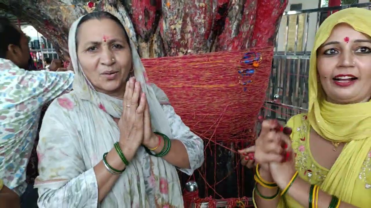 लो जी बाबा श्याम के दर्शन करो चुलकाना धाम में और पीपल का पेड़ देखो,🙏👌❤️