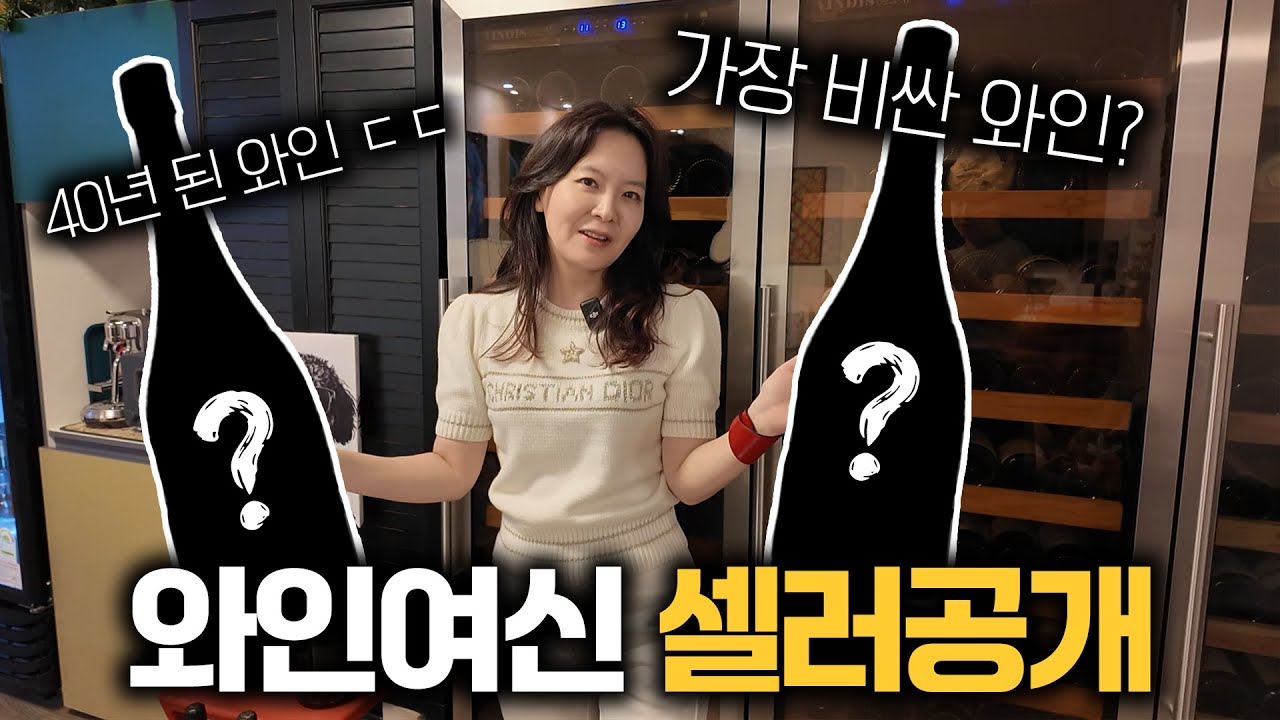와인여신 셀러에는 어떤와인들이 있을까?(최고가 샴페인 공개)