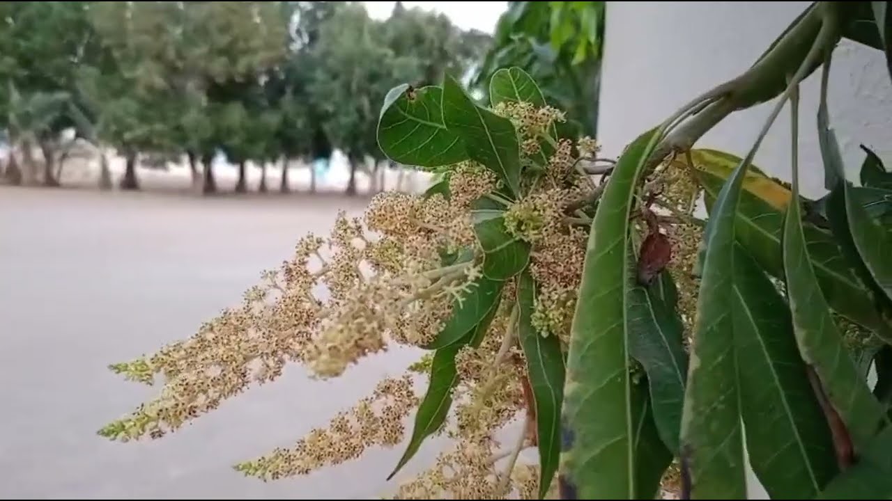 💥🔥 തല വെട്ടാൻ ആണ് എന്റെ തിരിച്ചുവരുമെന്ന് അനുപമ സുശീലയോട്