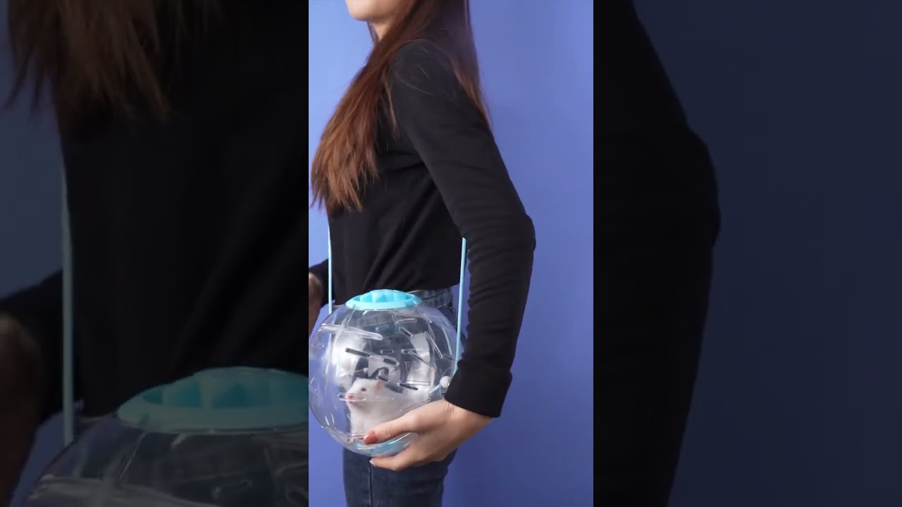 cute hamster 好玩又實用的鼠鼠跑球真的很難不愛#養鼠日常分享 #金絲熊 #家有傻鼠308
