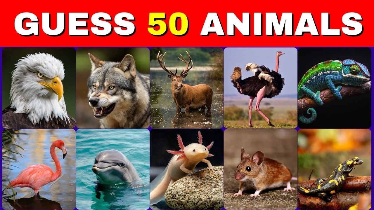 Guess the Animals in 3 Seconds 🐯 | Can You Beat the Timer? #trending #guesstheanimal #animals
