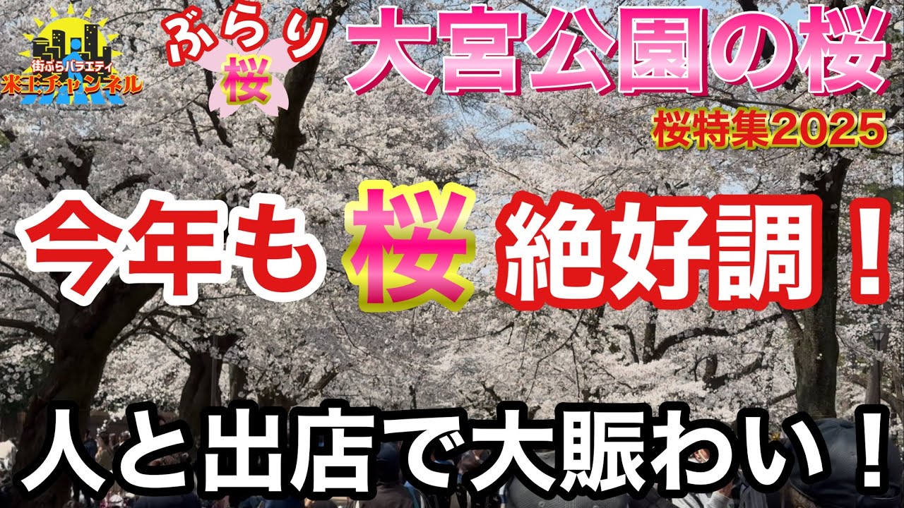 【ぶらり.埼玉.桜】2025年も大宮公園の桜が満開になったのでぶらりレポート