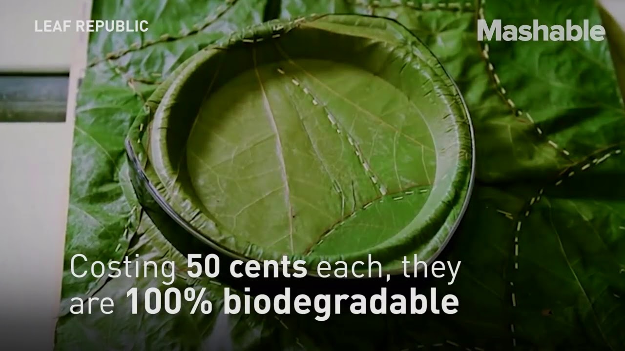 Recycle Technology 4 - compostable plates from leaves