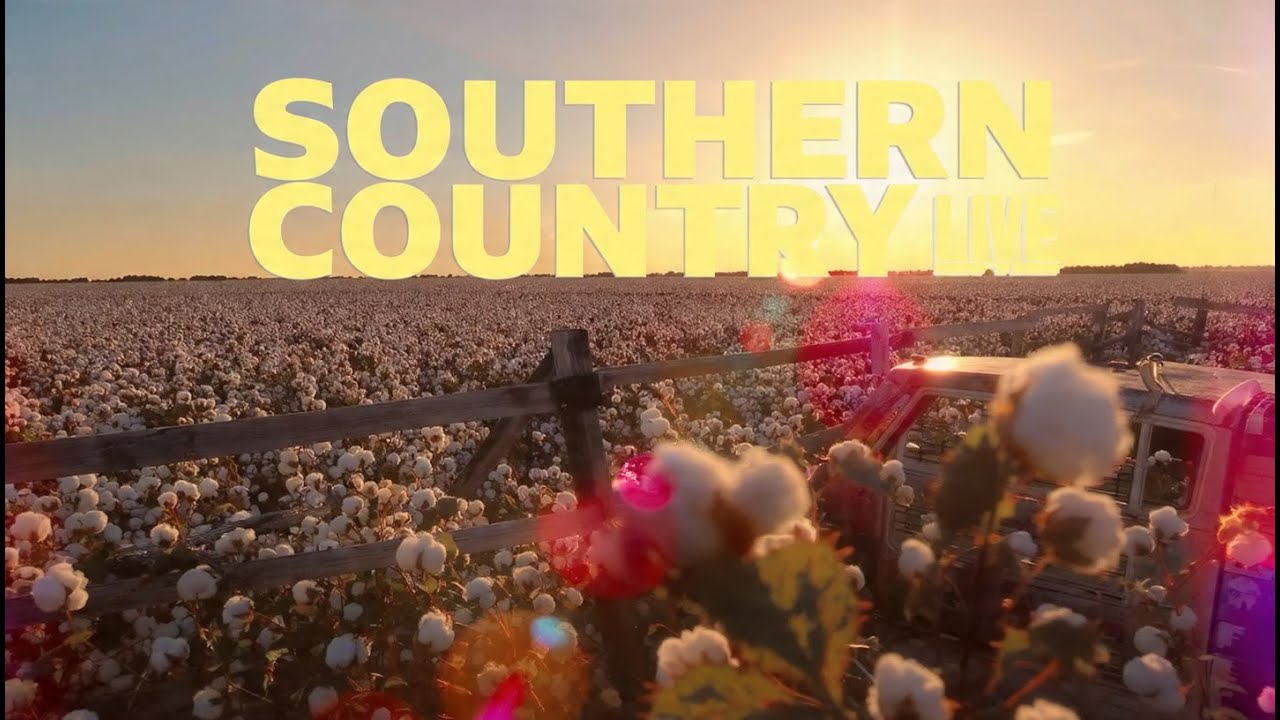 Heartfelt Country Love Songs 2025 | Acoustic Romance Playlist Vol 95 | Countryside Moments