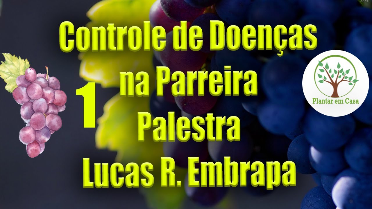 01 Controle de Doenças na Parreira em Palestra da Embrapa