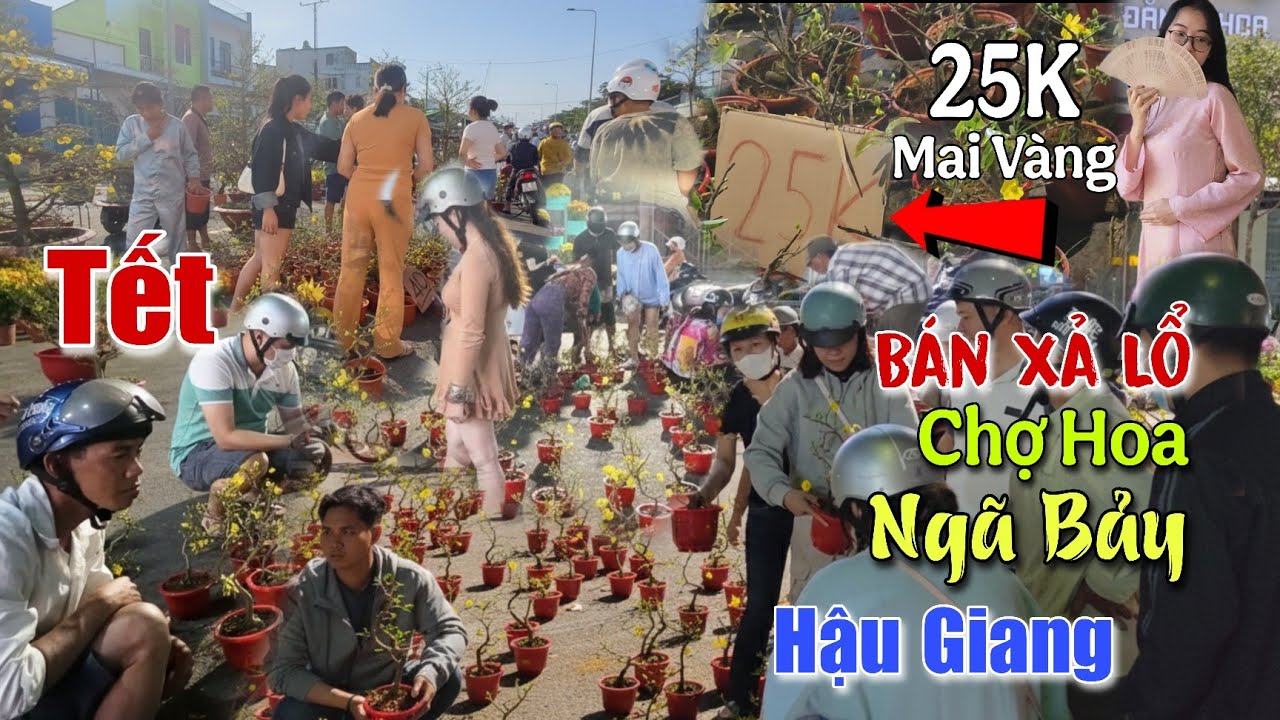 Đượm Buồn Vỡ Trận Chợ Hoa Xuân Ngã Bảy Xổ Rẻ Mai Vàng 25k Đêm Cuối Tết 2026 Hậu Giang