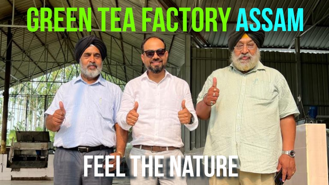 Green tea factory mein kaise banta hai | mini green tea factory | Amazing green tea factory at Assam