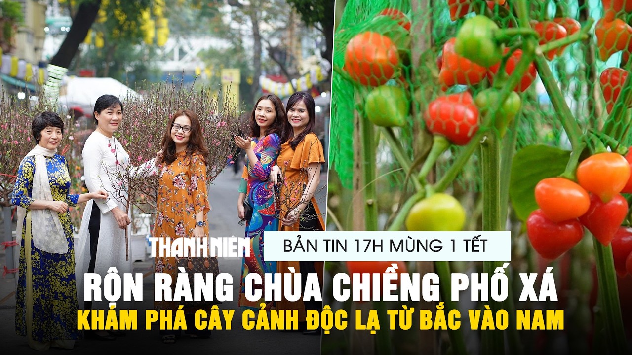 BẢN TIN 17H MÙNG 1 TẾT: Rộn ràng chùa chiềng phố xá | Khám phá cây cảnh độc lạ từ Bắc vào Nam