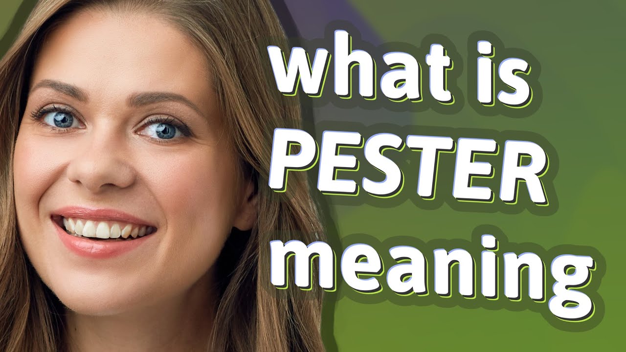 Pester | meaning of Pester