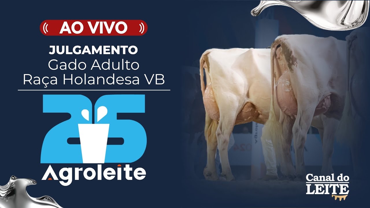 Agroleite 2025 - Julgamento do Gado Adulto da Raça Holandesa Vermelho e Branco
