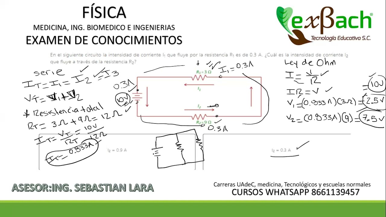 ejercicios de SIMULADOR EXBACH OFICIAL 2024