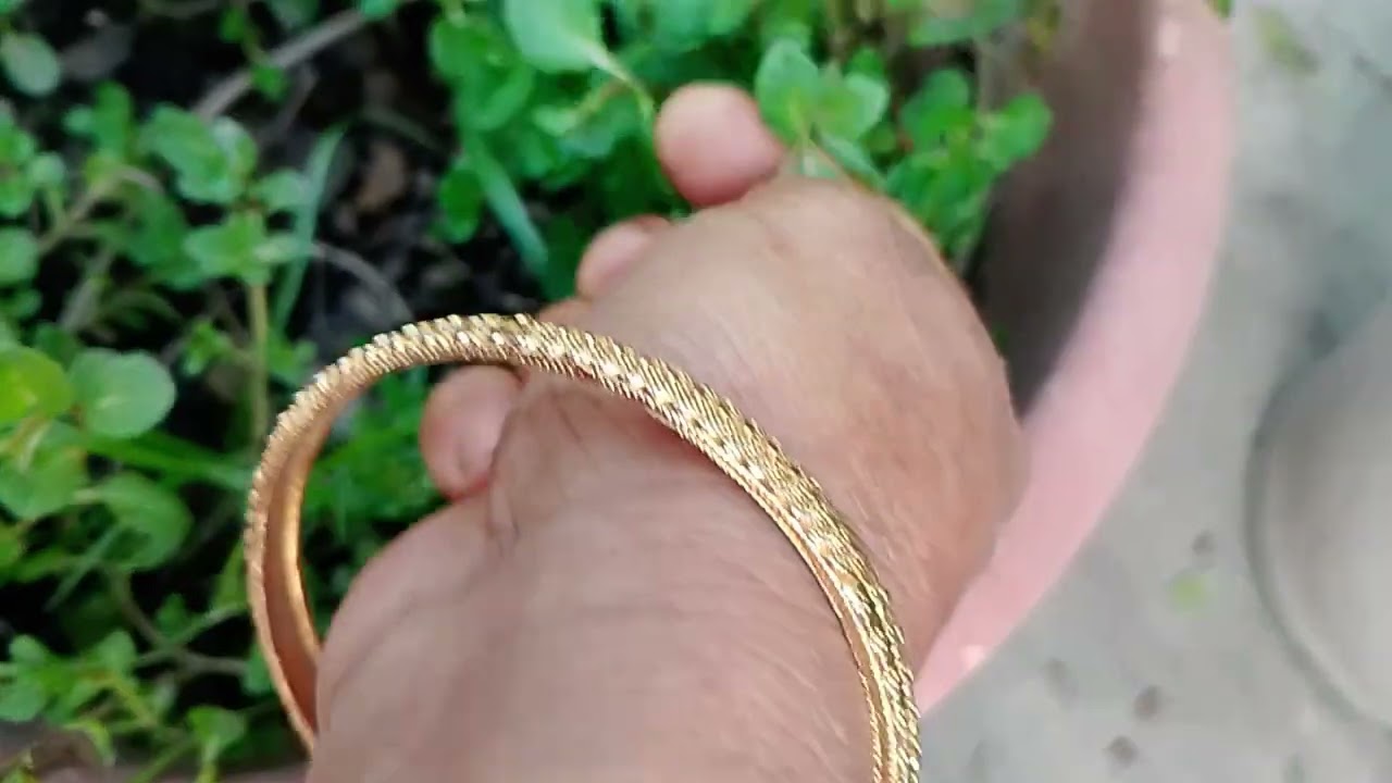 বাসার ছাদে ফুল ও ফলের বাগান। 