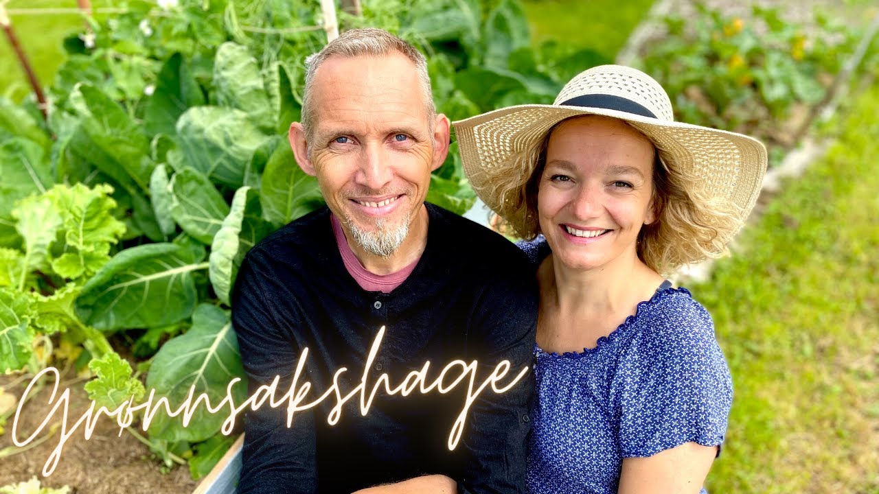 HAGEN I JUNI 🌿 Enkel og billig kjøkkenhage - salat, gulrot, rosenkål, grønnkål, sukkererter, spinat