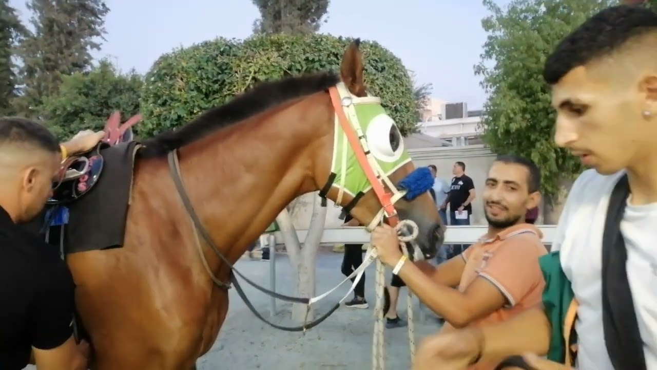 HORSE RACING 