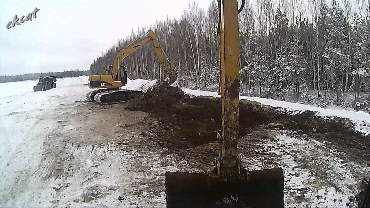 Болотная зимовка.