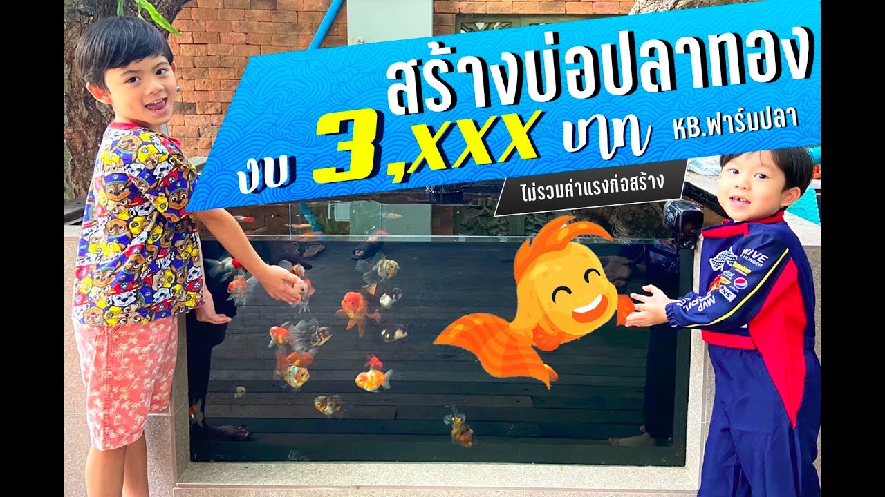 จบในคลิปเดียว รีวิวขั้นตอนการทำ บ่อปลาทองแบบติดกระจก งบค่าของ 3,xxx