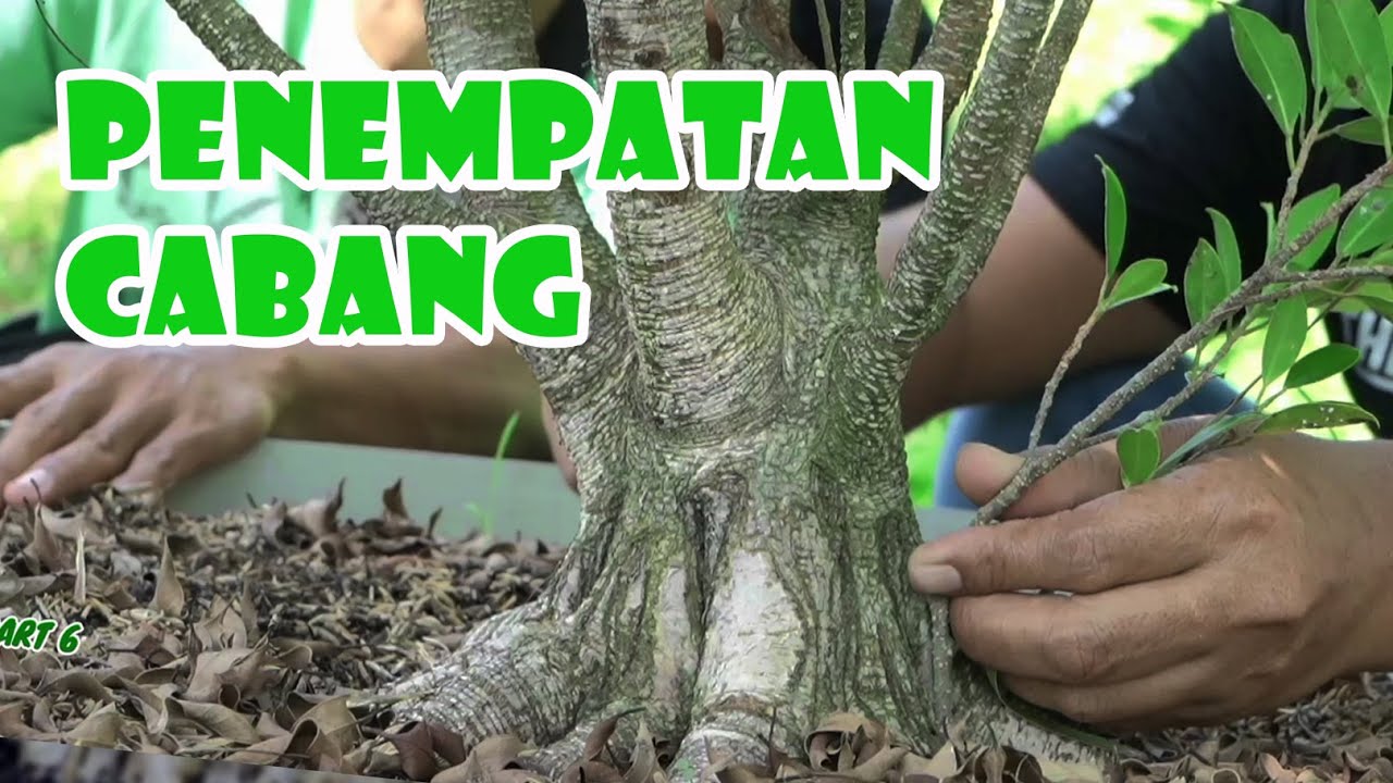 YANG HARUS DIPAHAMI DISAAT AWAL PROGRAM