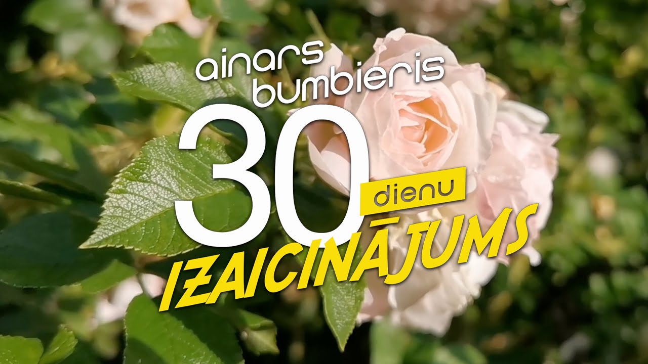 Ainars Bumbieris - Par Rozēm - 30 dienu izaicinājums
